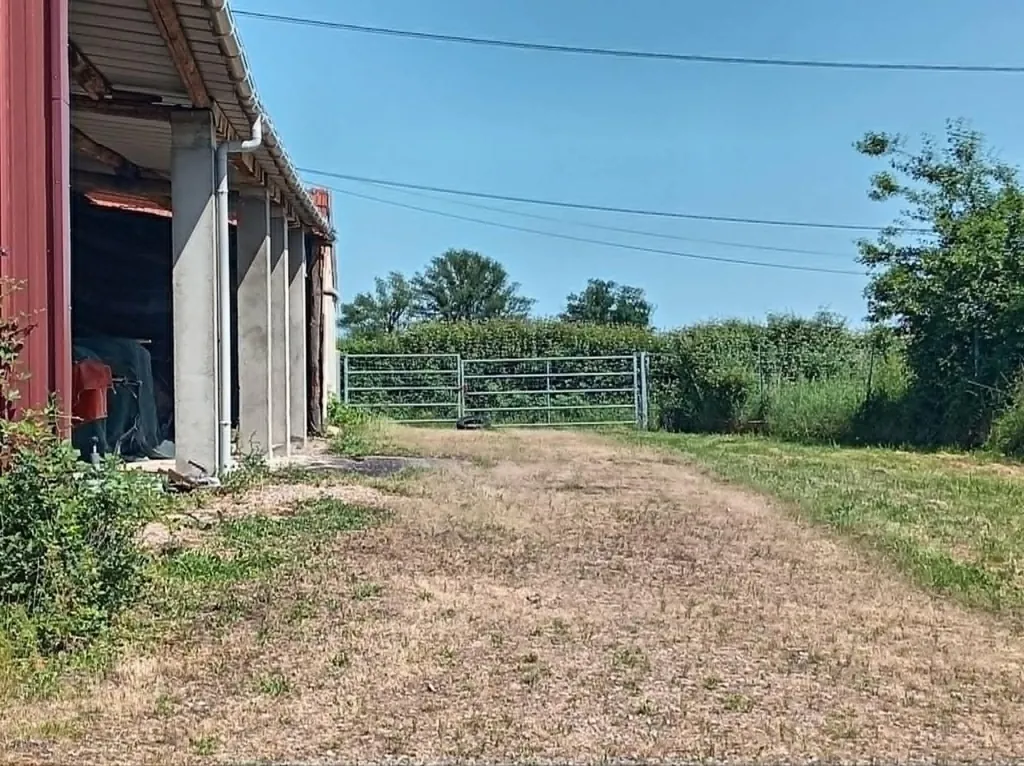 Exterior - Country House with Equestrian Potential in Couleuvre