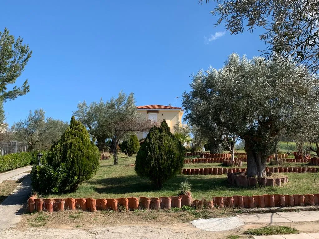 Jardin - Villa with 3 Houses in Oropos