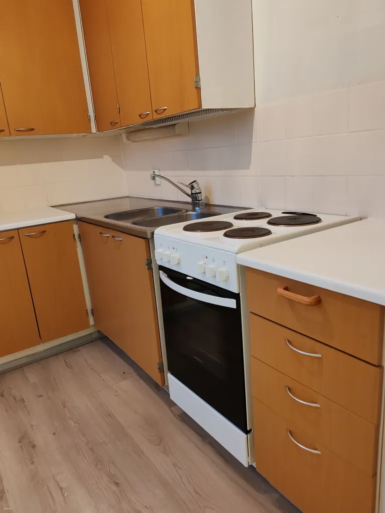 Cuisine - Modernised Studio in Pihlava, Pori