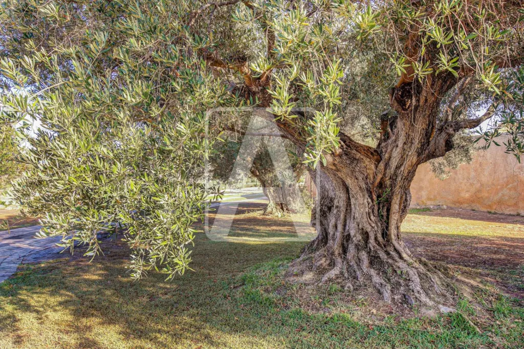 Aed - Luxury Farmhouse with Pool in Moraira