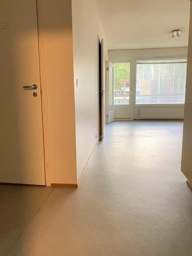 Entrée - Apartment with Balcony in Ruovesi