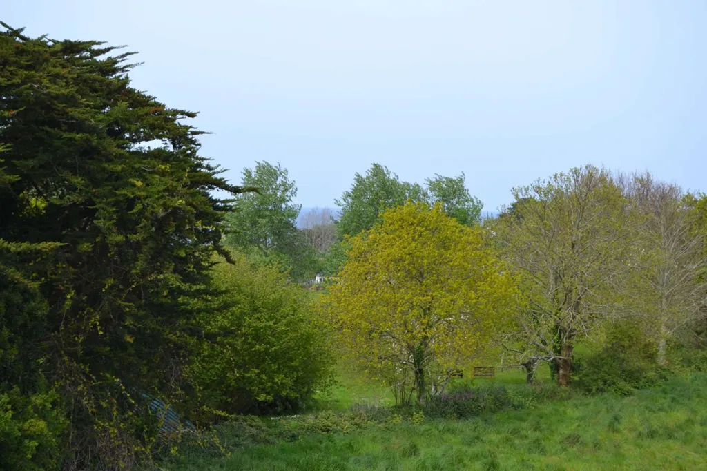 Aed - Breton Stone House with Garden in Plougasnou