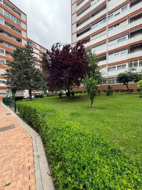 Jardin - Flat with Terrace in El Naranjo, Fuenlabrada
