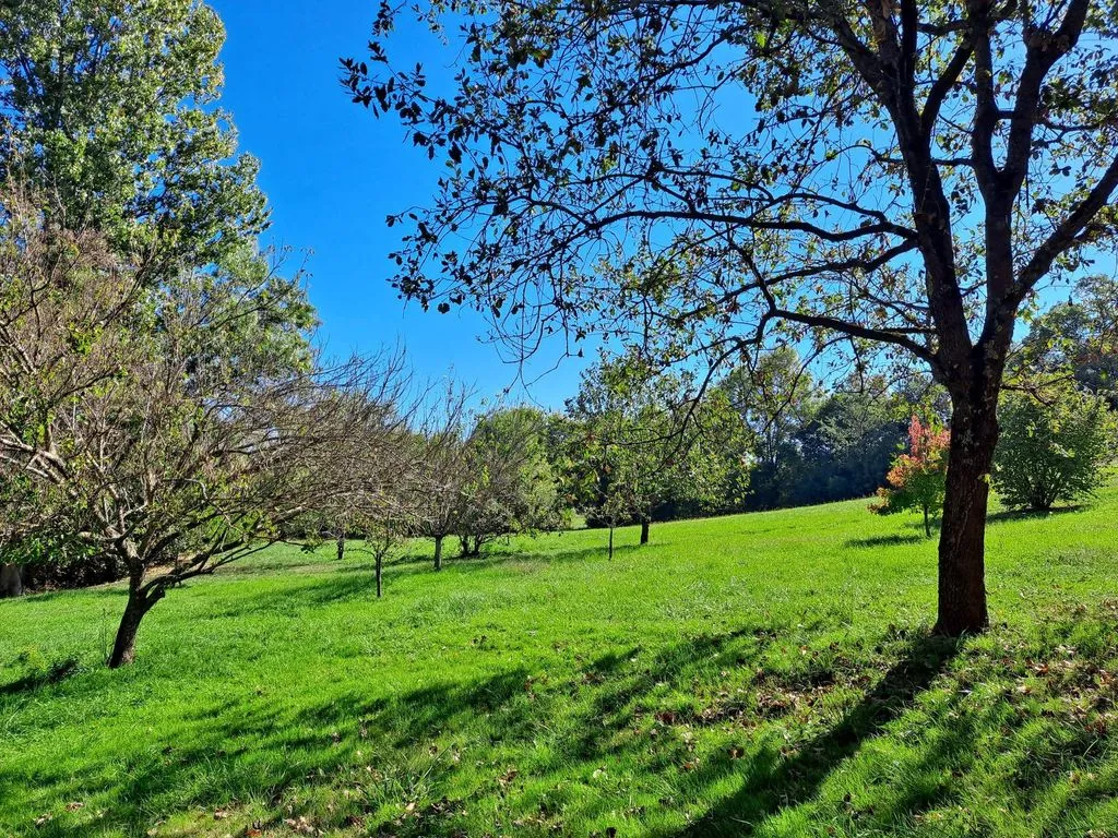 Garden - Luxury House with Large Plot in Fleurance