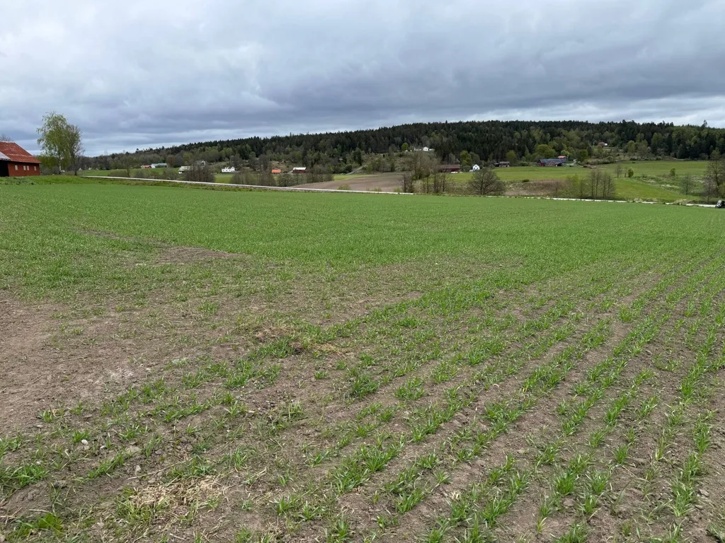 Jardin - Farm with Stable in Fotskäl, Sweden