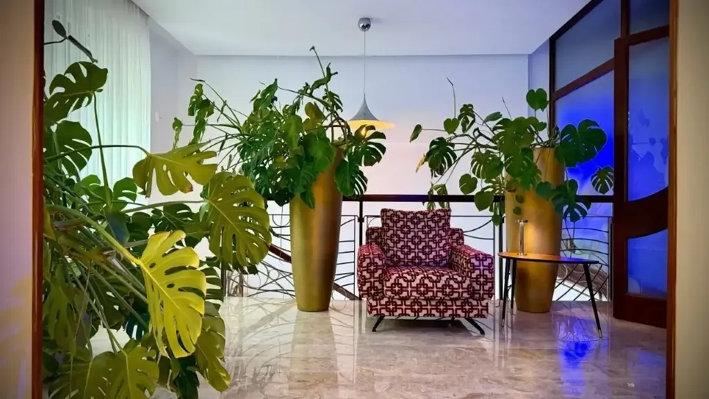 living_room