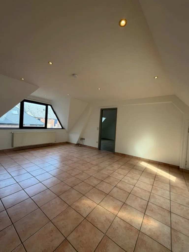 Toad - Spacious Apartment in Marche Centre