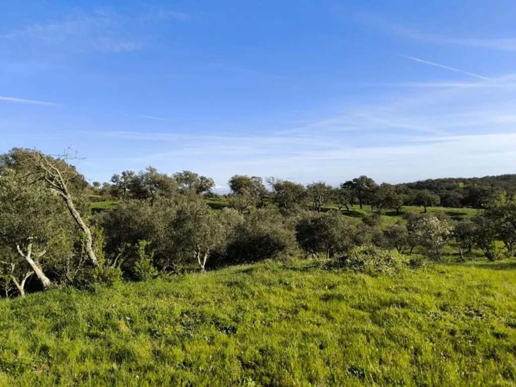 Aed - Luxury Farmhouse with Development Potential in Alentejo