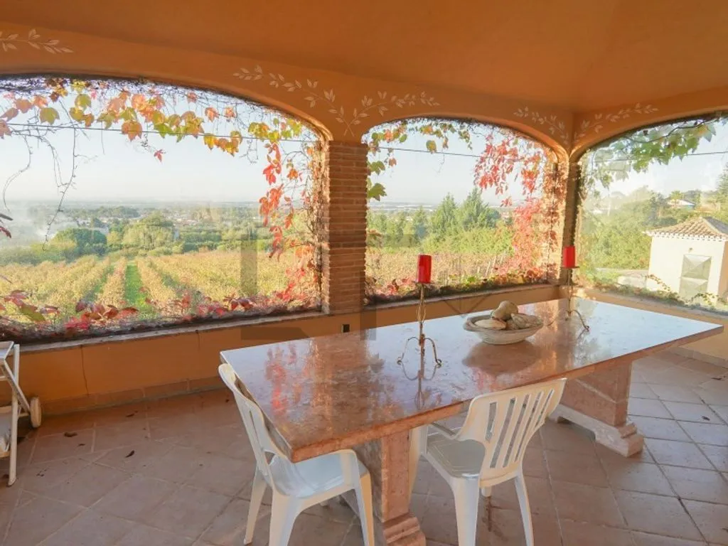 Terrasse - Farm with Pool and Vineyard in Azeitao