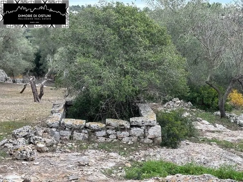Garden - Saracen Trullo with Olive Grove in Ostuni