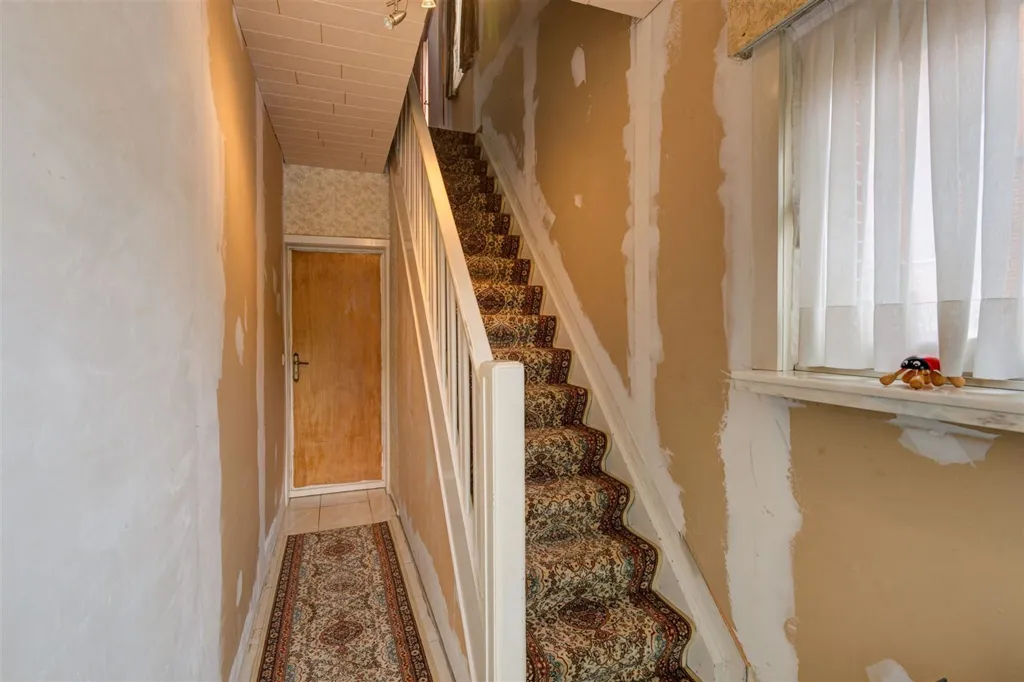 Toad - Renovatable House with Garden in Nijlen