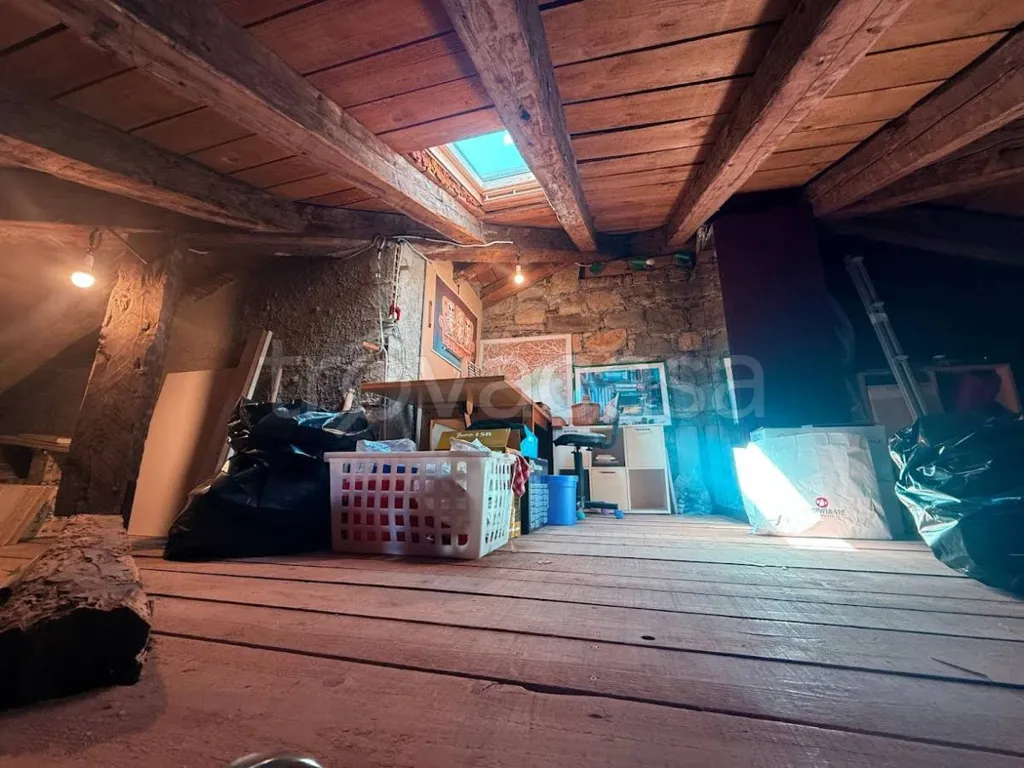 Toad - Restored Attic in Historic Centre, Trieste