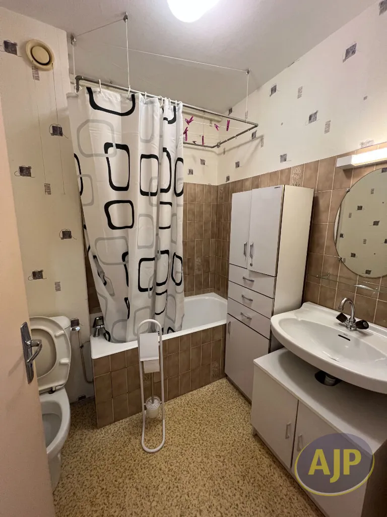 Salles de bain - Appartement 1 Pièce dans Résidence Calme à Chateaubriant