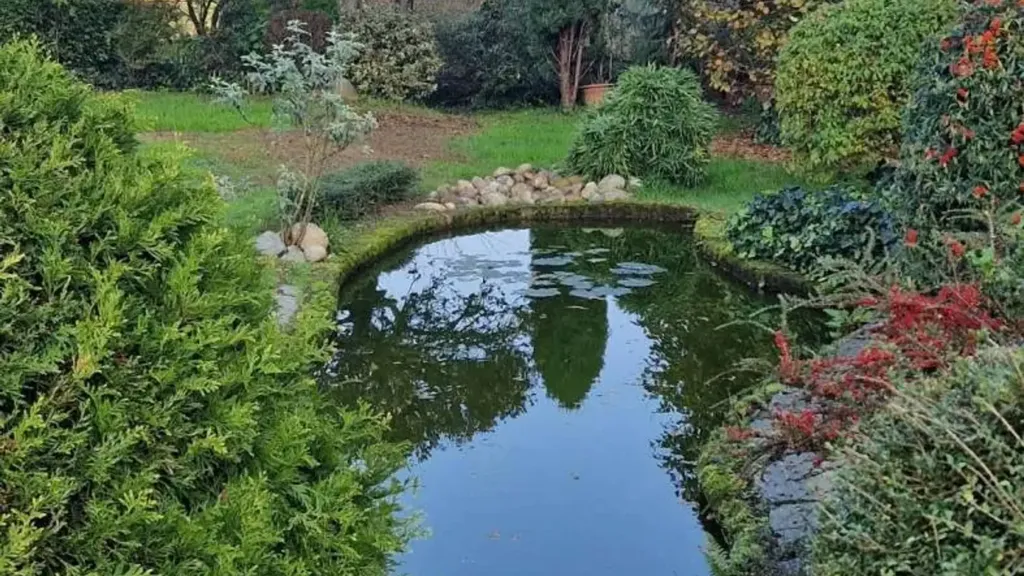 garden