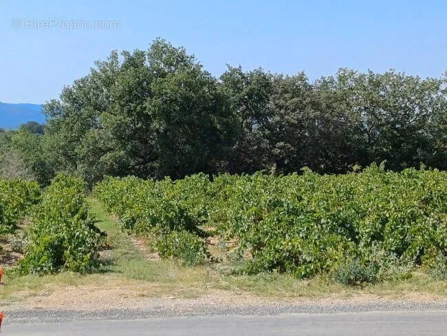 Jardin - Terrain à Bâtir avec Jardin à Théza