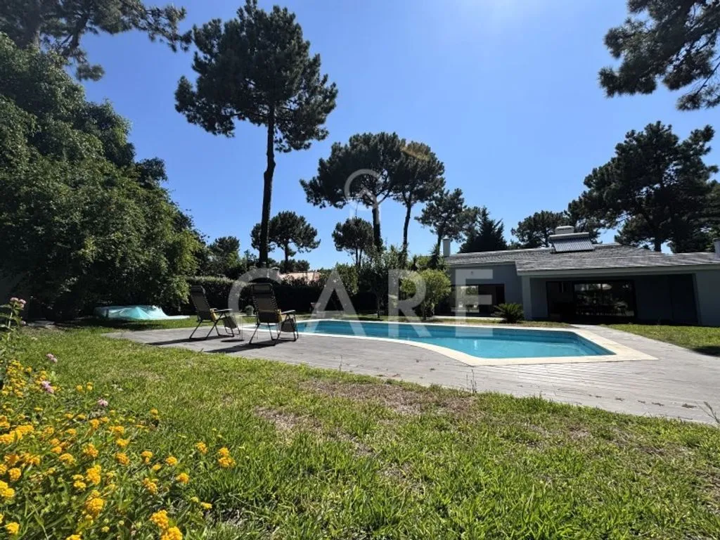 Bassein - Refurbished Villa with Pool in Herdade da Aroeira