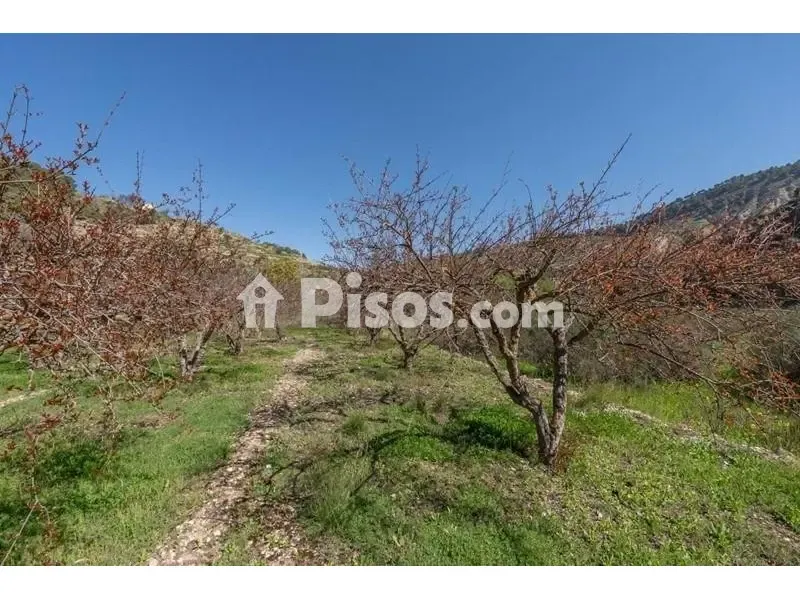 Giardino - Rustic Finca with Mountain View in Cónchar