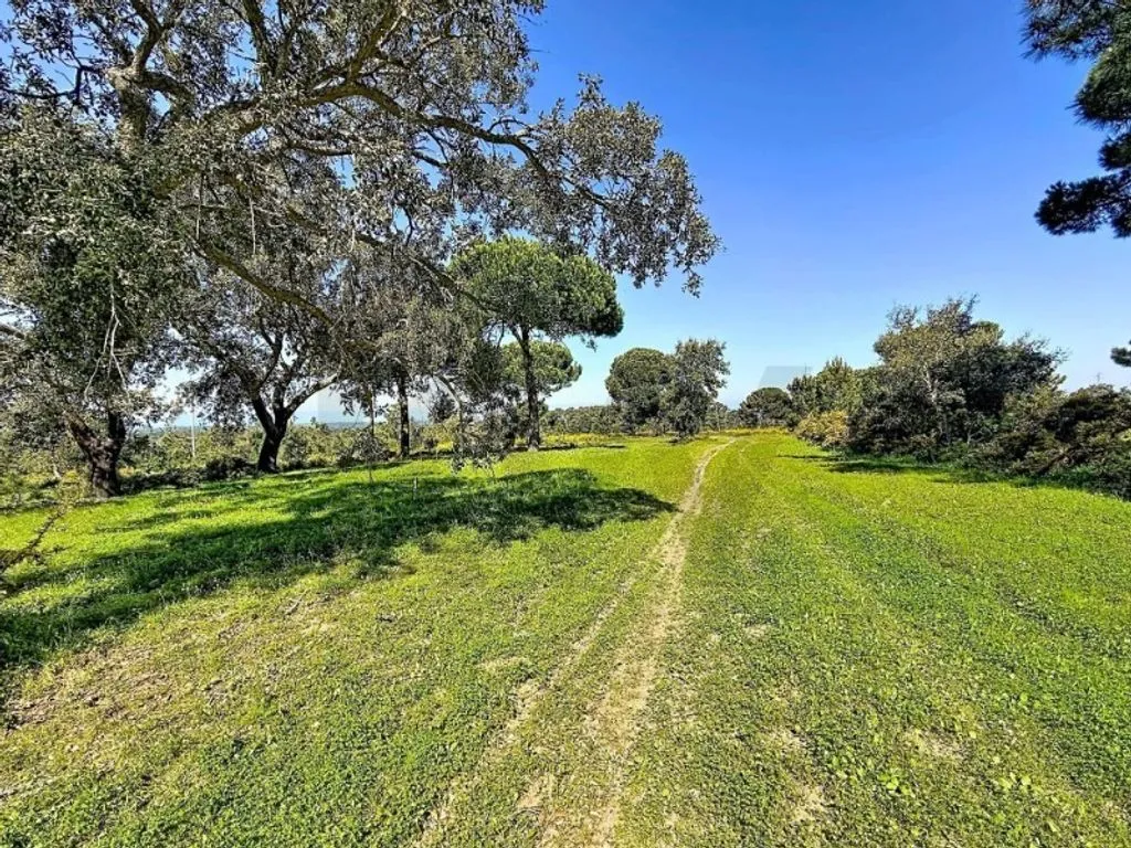 Jardin - Development Land with Water Features in Sesimbra