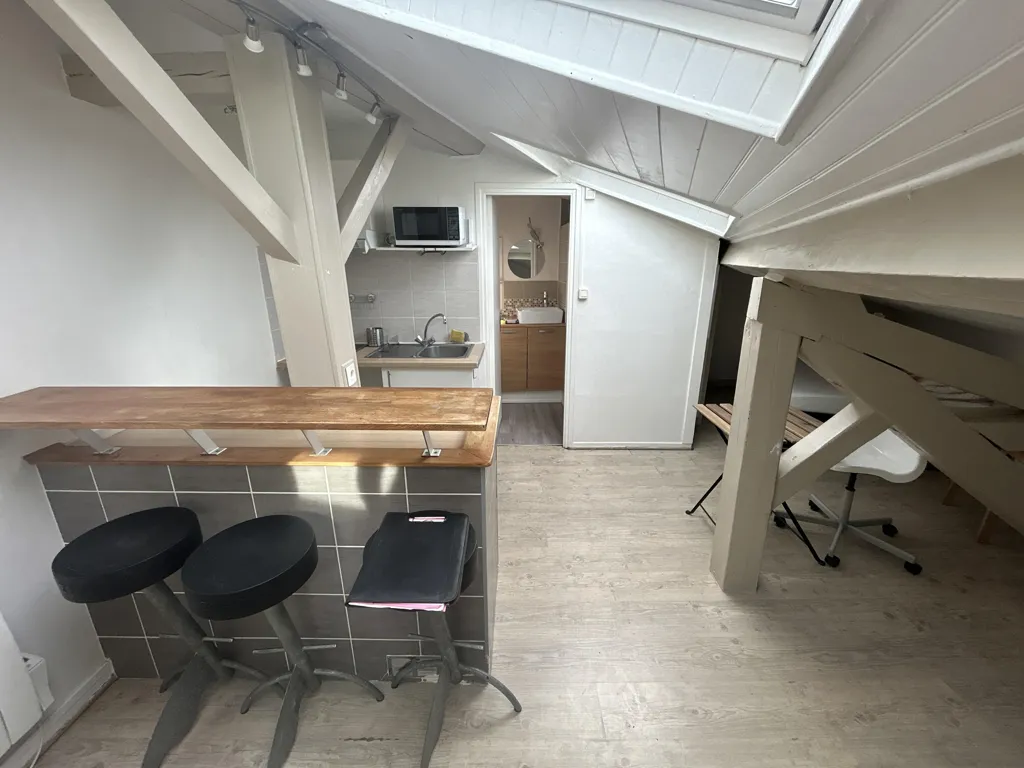 Toad - Mansarded Studio with Skylights in Delille
