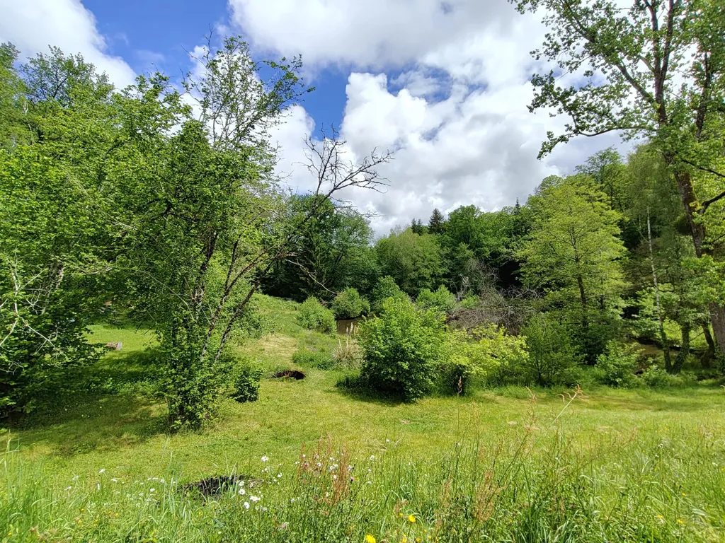 Jardin - Maisonnette avec Deux Étangs dans le Périgord Vert