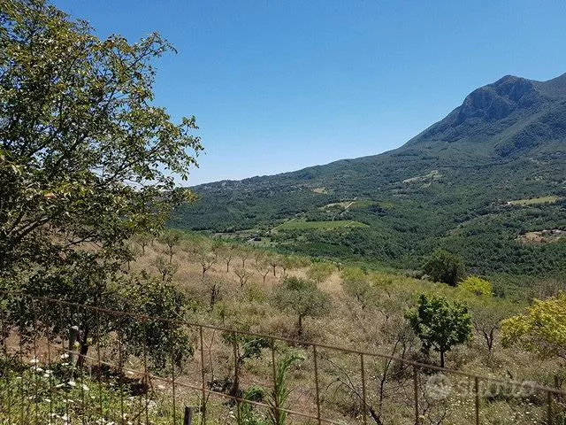 Jardin - Rustic Farmhouse with Olive Grove in Lapio