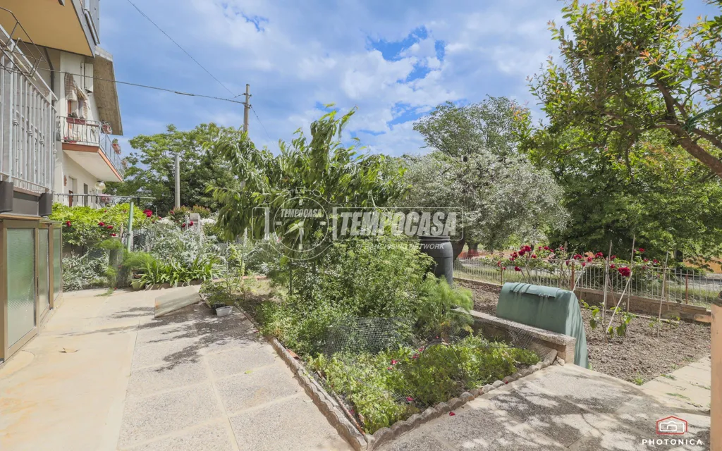 Jardin - Bifamiliar House with Garden in Cattolica