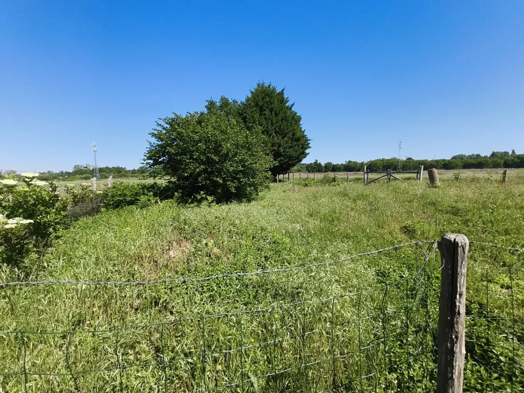 Jardin - Maison avec Jardin à Vaas