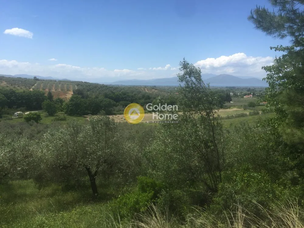 Aed - Agricultural Plot with Olive Trees in Avgoria