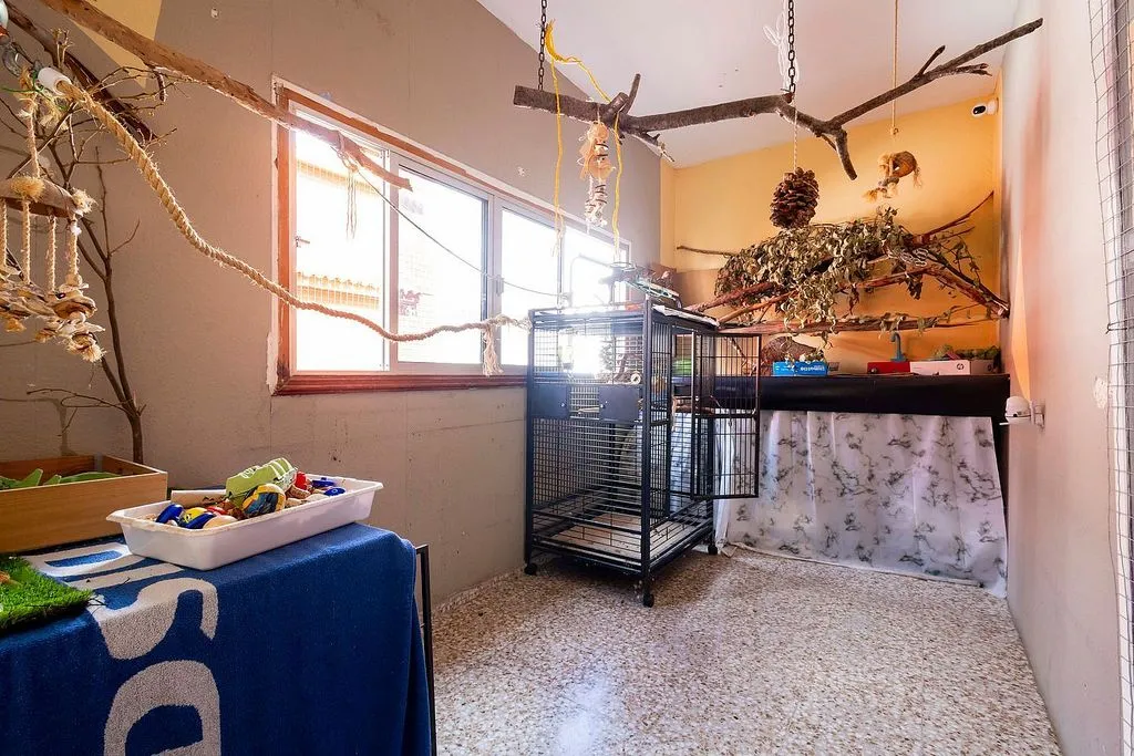 Toad - 3-Bedroom Flat with Balcony in Valleseco