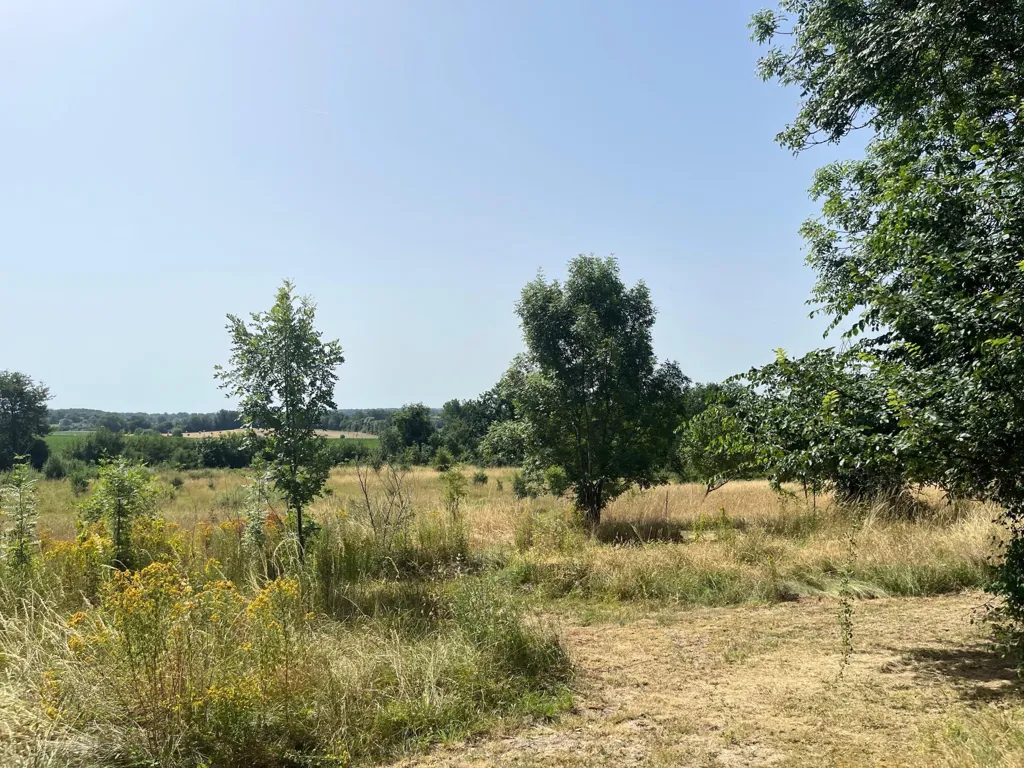 Giardino - Charming House with Orchard in Beaumont-Du-Perigord