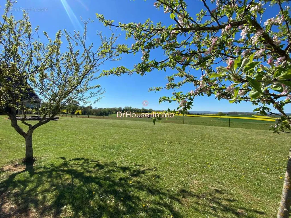 Jardin - Maison Bois avec Terrasse et Prairies à Sancerre