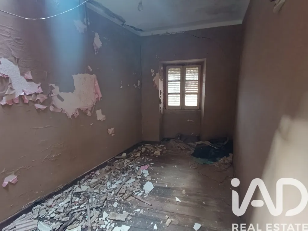 Toad - T2 Semi-detached House in Coimbra