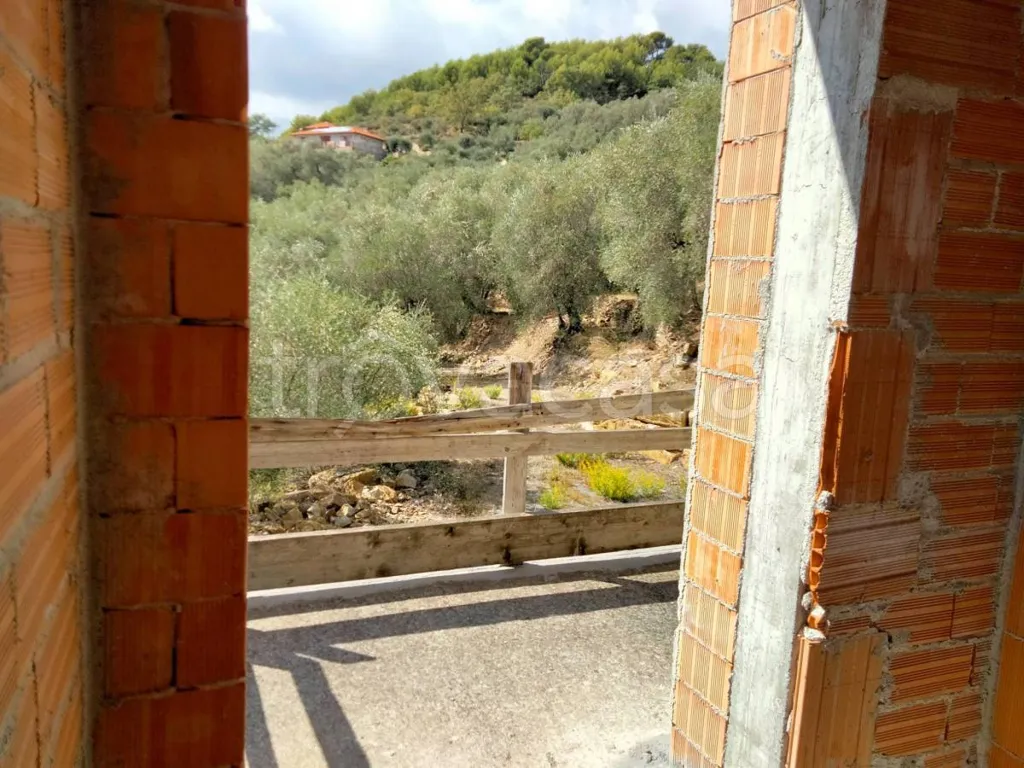 Toad - Rustic Villa with Olive Grove in Diano San Pietro