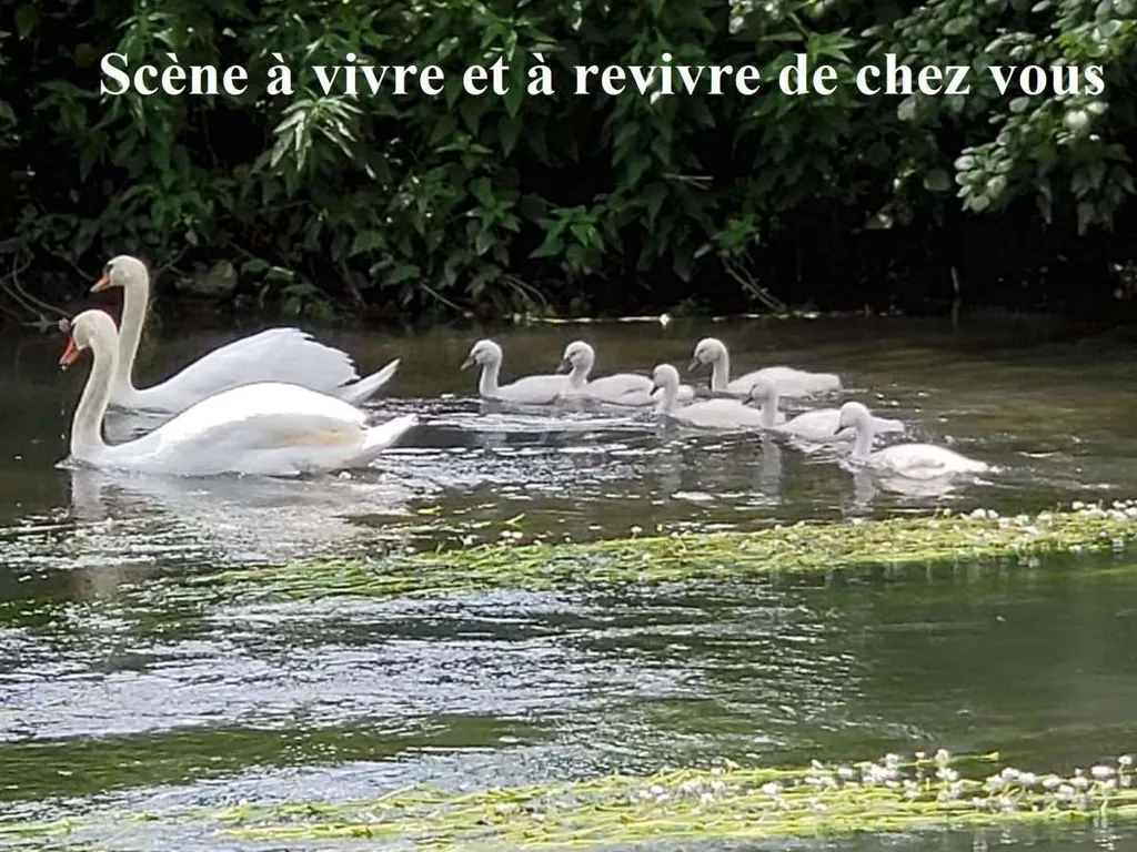 Maison Charmante avec Jardin et Piscine à Ménilles
