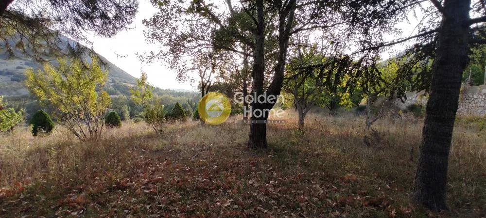 Jardin - Detached Villa with Garden in Zemenos