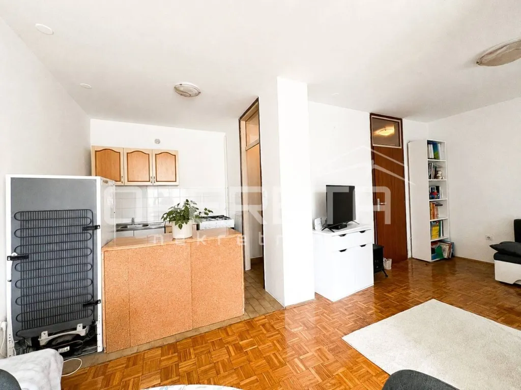 Living Room - Apartment with Balcony in Staro Brestje, Zagreb