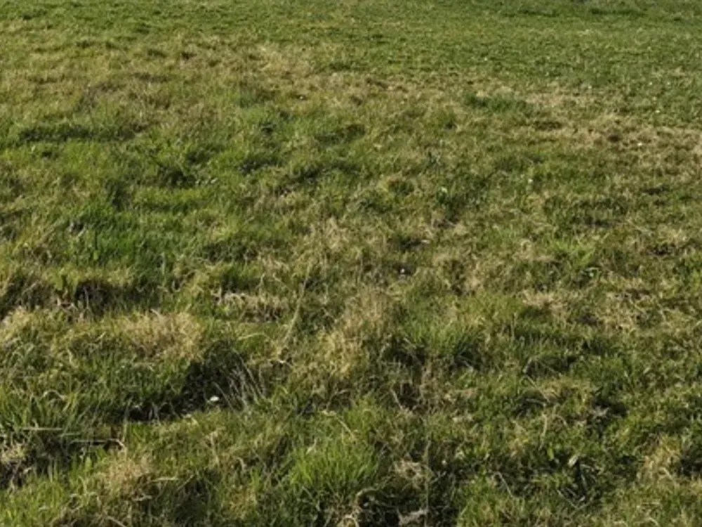Jardin - Maison de Plain Pied avec Jardin sur les Hauteurs de Malemort