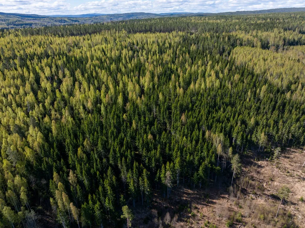 Vista aerea - Unbuilt Land with Forest in Sundsvall