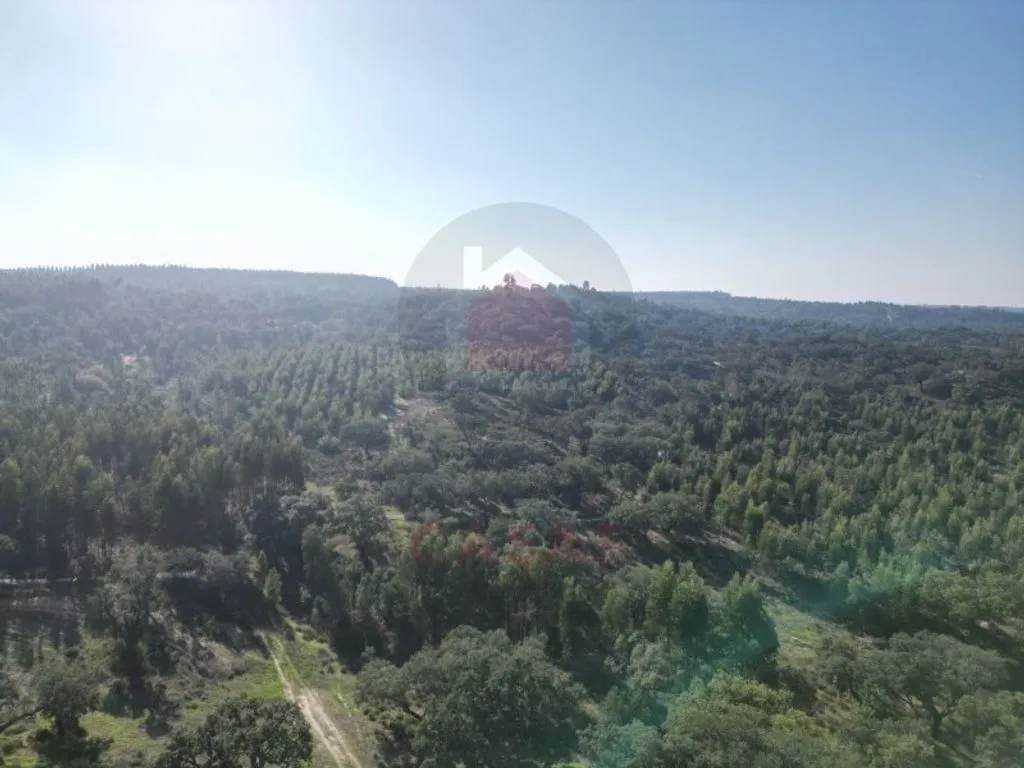 Aerial - Luxury House with Pool in Almeirim