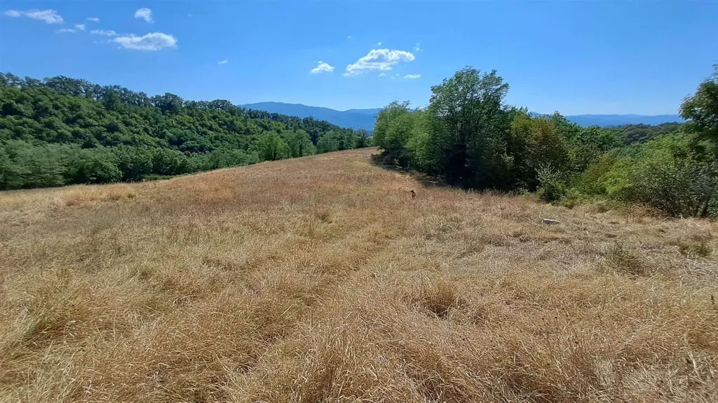 Aed - Rustic Farmhouse with 5000m² Land in Vicchio