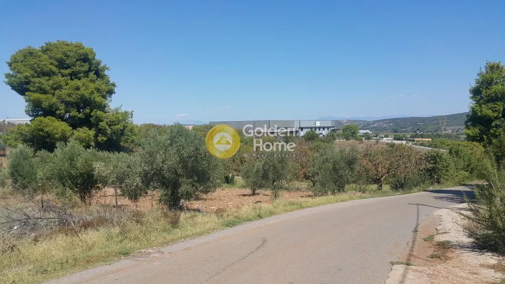 Local commercial à GR