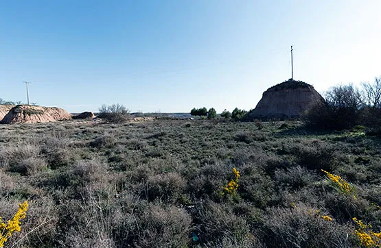 Garden - Land Parcel in Rincón de Soto, La Rioja