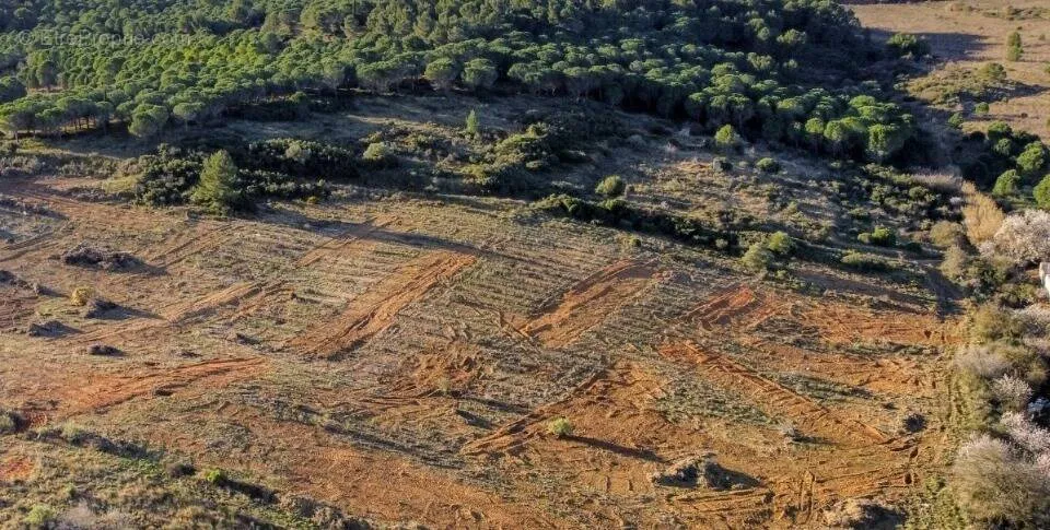 Vue aérienne - Terrain avec Jardin à Narbonne, Proche Côte