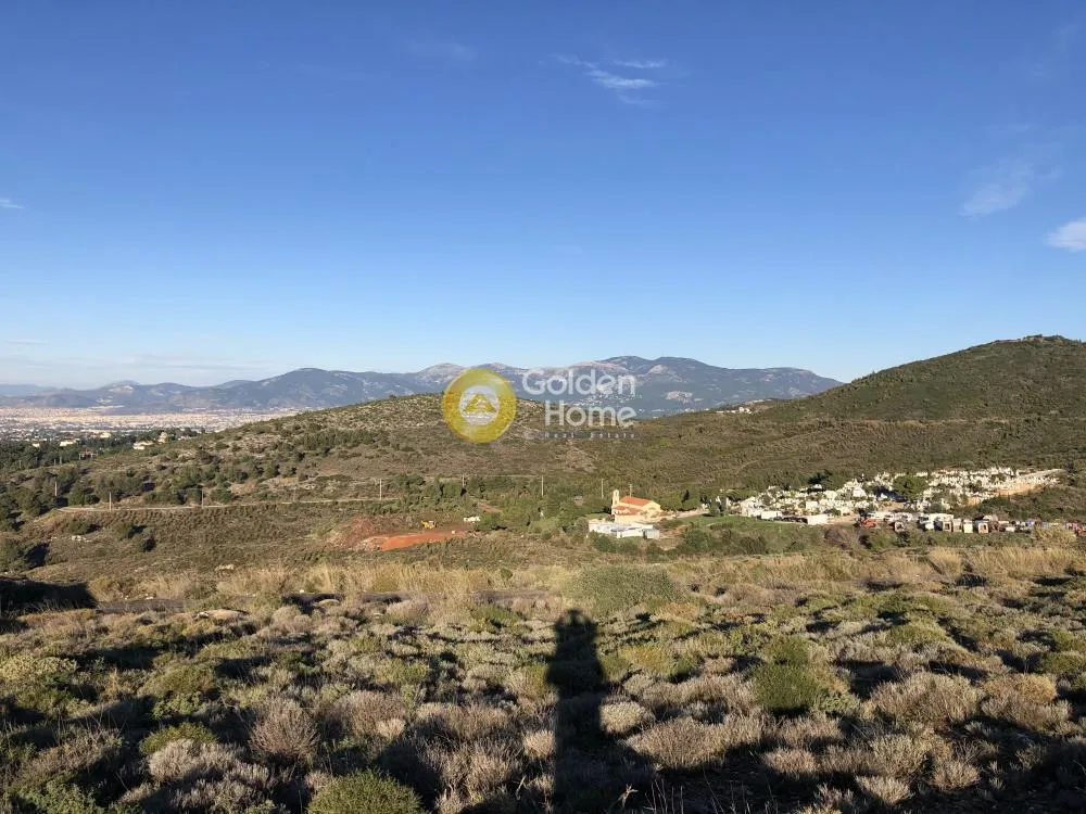Agricultural Plot with Panoramic View in Nea Penteli