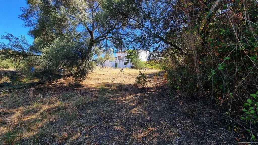 Jardin - Urban Plot with Countryside Views in Santa Ana la Real