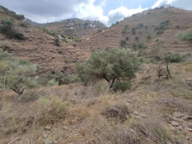 Jardin - Two Large Plots with Panoramic Views near Sayalonga