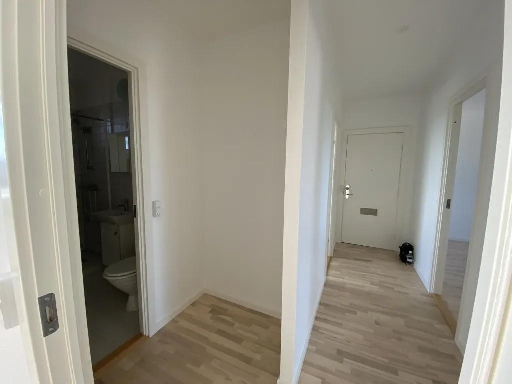 Esik - Renovated Apartment with Balcony in Denmark
