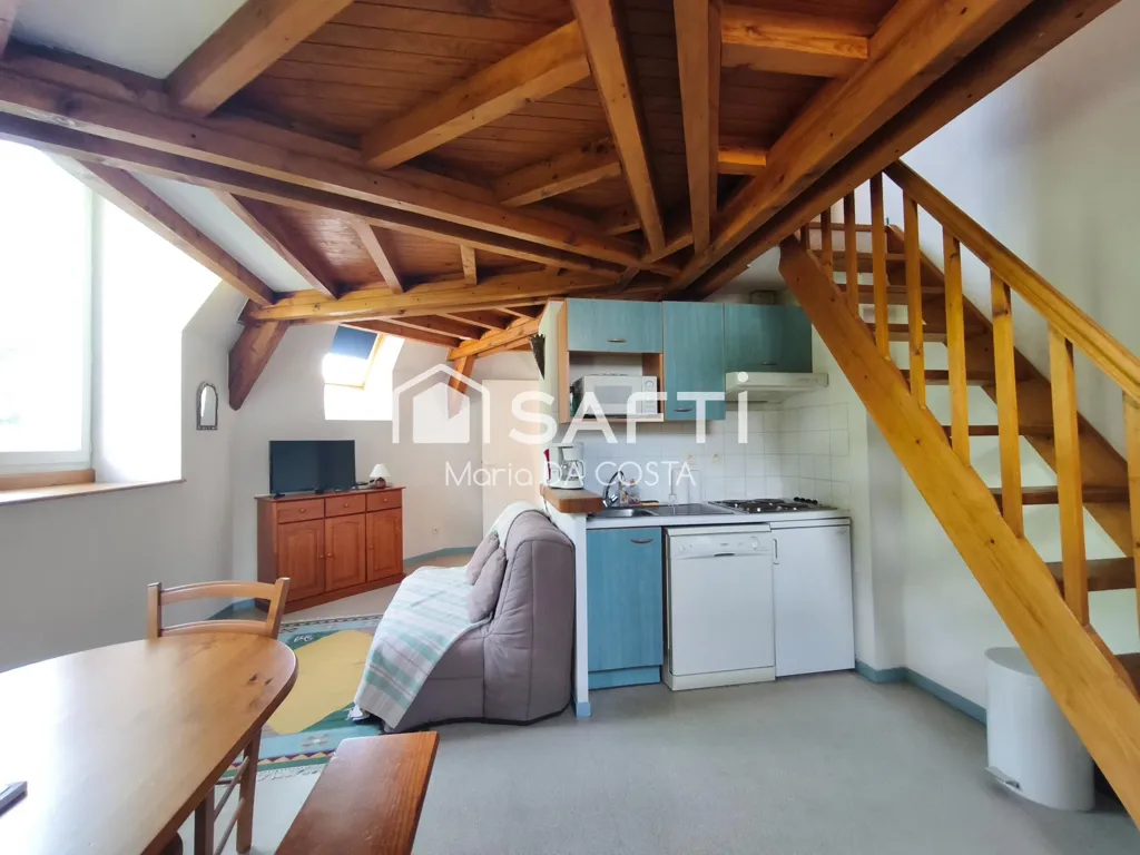 Toad - Duplex Apartment with Balcony in Barèges