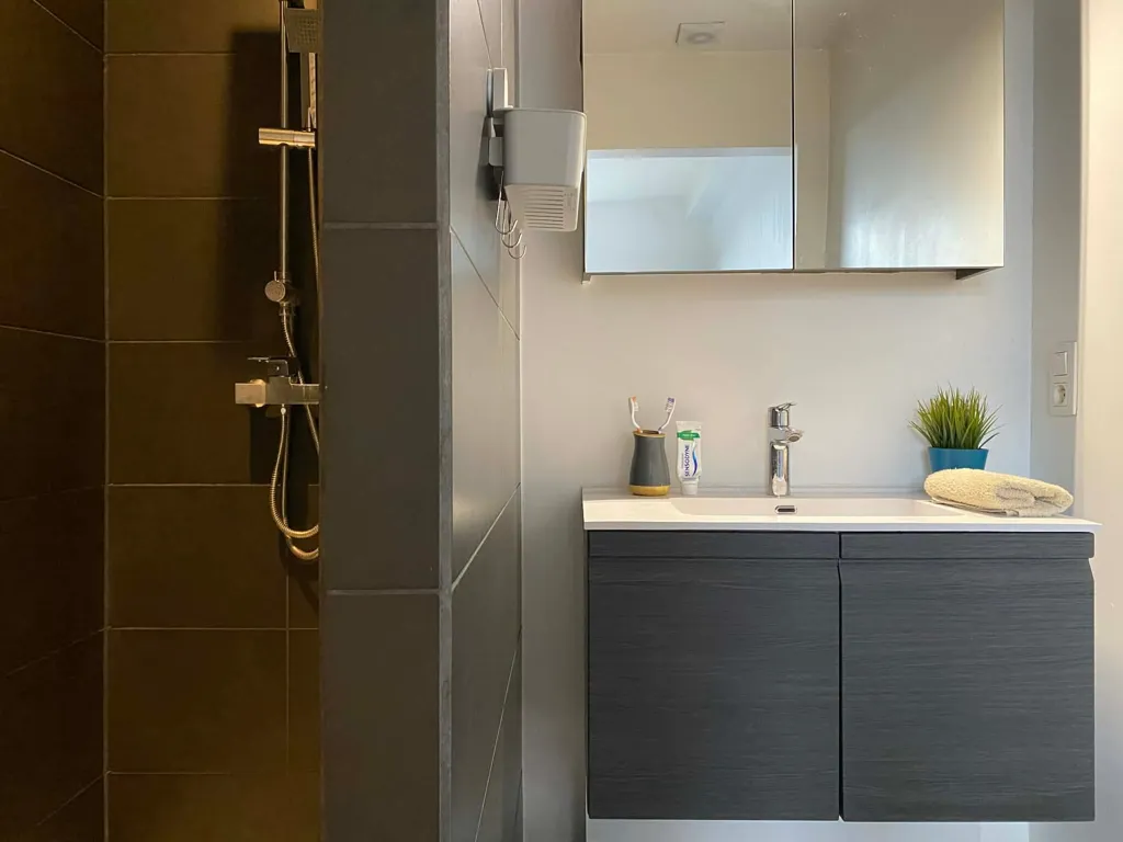 Bathrooms - Apartment with Large Skylights in Merksem, Antwerp