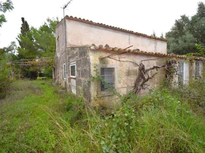 Extérieur - Maison à Balears (Illes)